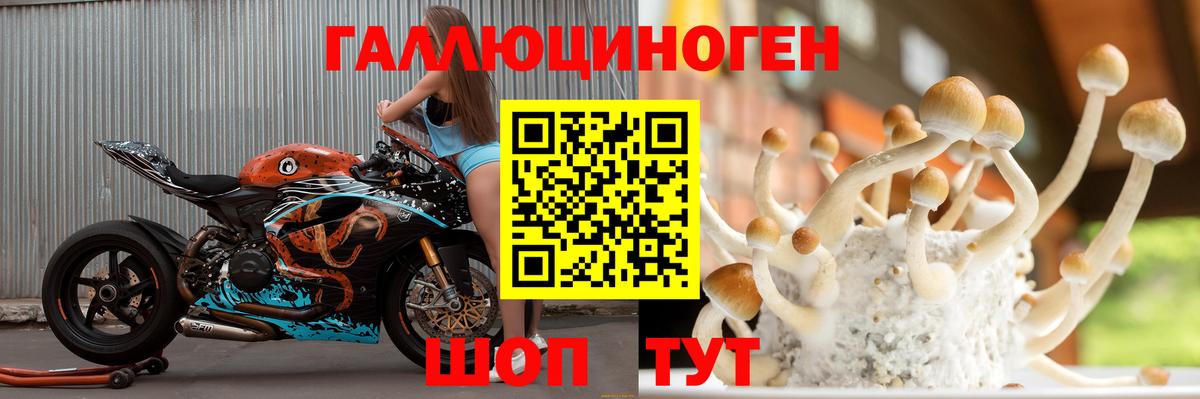 Галлюциногенные грибы мухоморы Новошахтинск